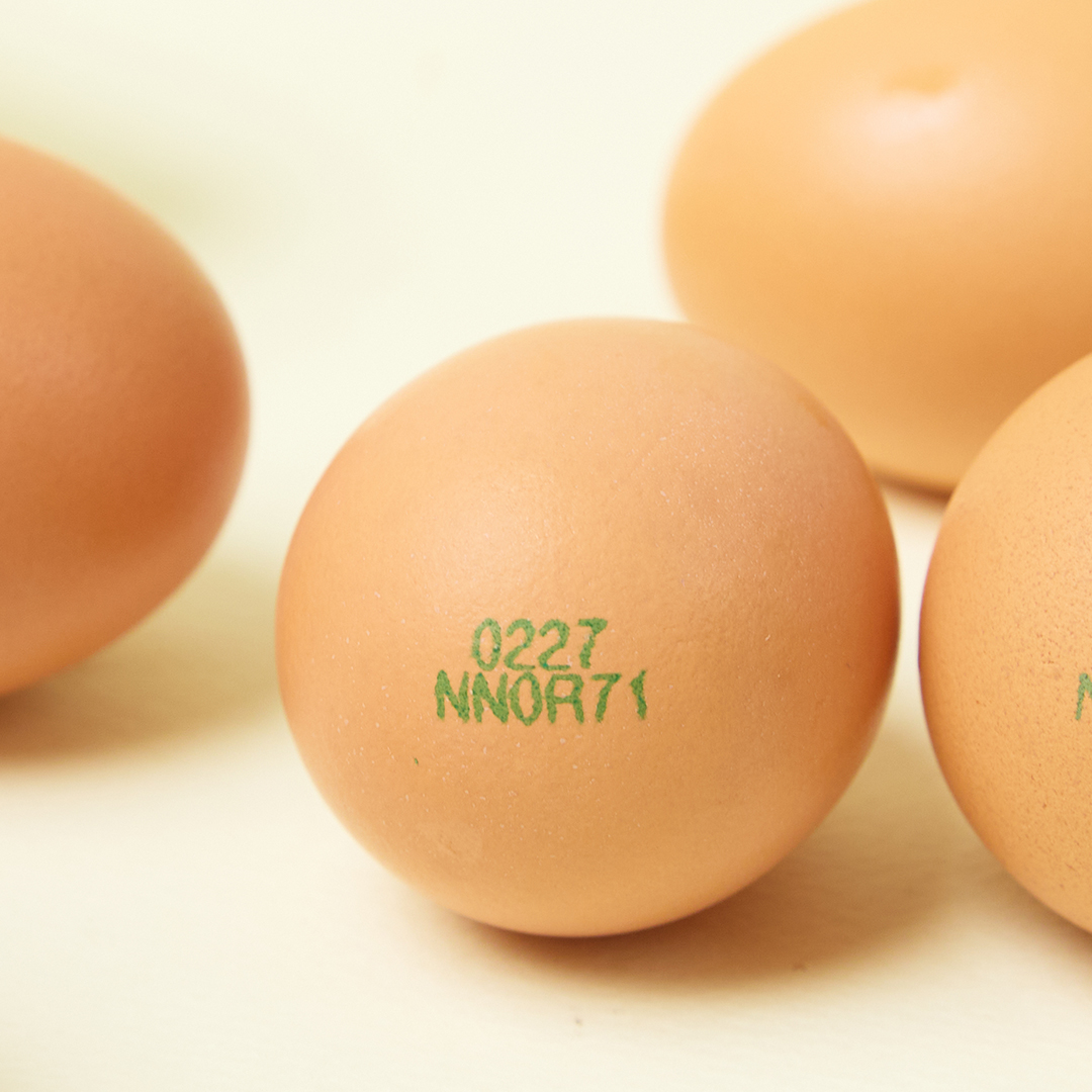 난각번호1번 유정란 무항생제 계란 20구