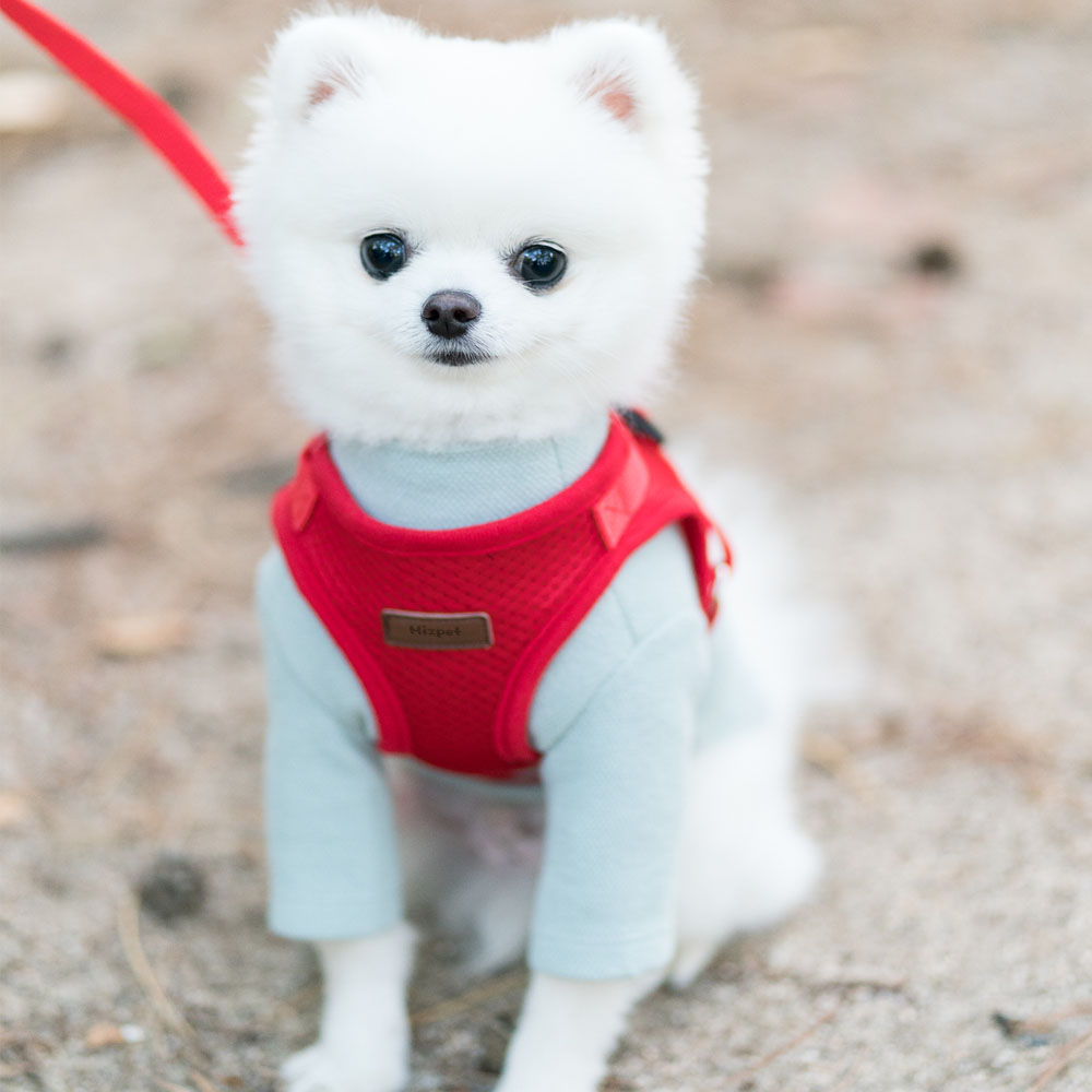 미즈펫 강아지 하네스 가슴줄 애견 목줄 - 상품 이미지
