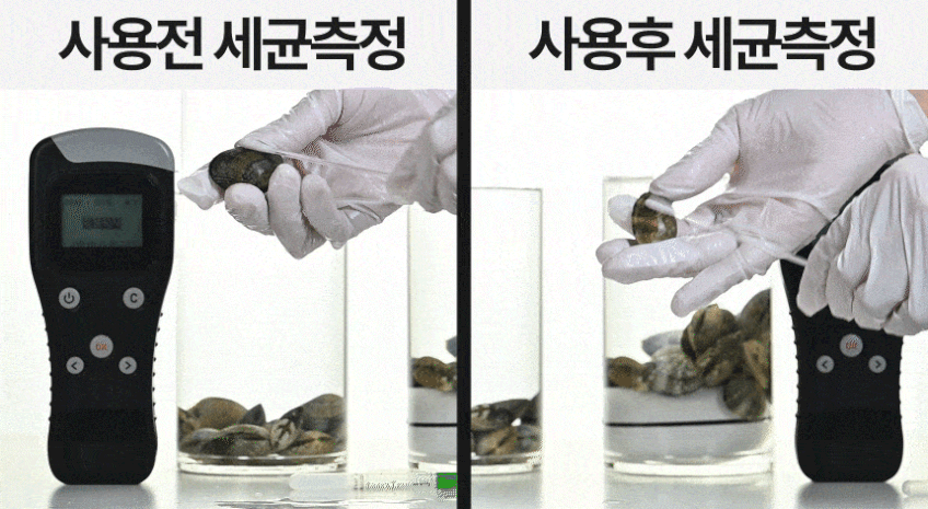 무설치 과일 야채 세척기 가정용 조개 해감 채소 고추 세척기 잔류 농약 무선 살균기 판매처 상세 정보 이미지 4
