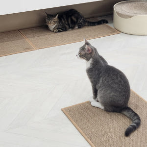 고양이 안식처 캣나인 이너무바 반영구 스크래쳐 카페트 매트타입 플랫형 3... 솔직 후기 | 실제 사용자 리뷰 총정리 - 상품 이미지 4