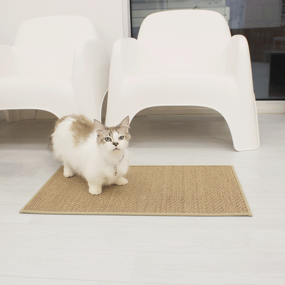 고양이 안식처 캣나인 이너무바 반영구 스크래쳐 카페트 매트타입 플랫형