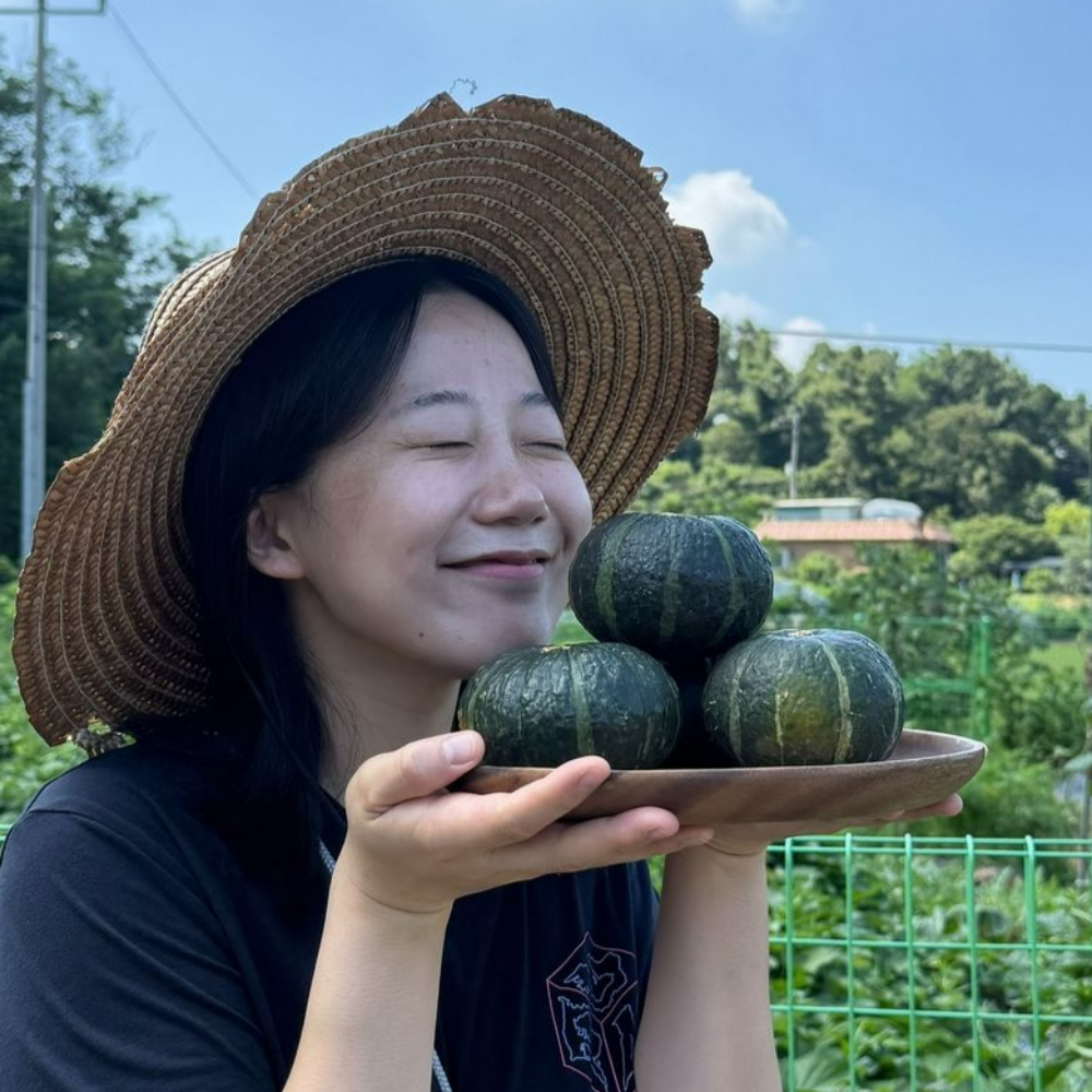 제주 미니 단호박 밤호박 제주도 보우짱 단호박 특품 3kg 5kg 10kg - 상세 이미지 2