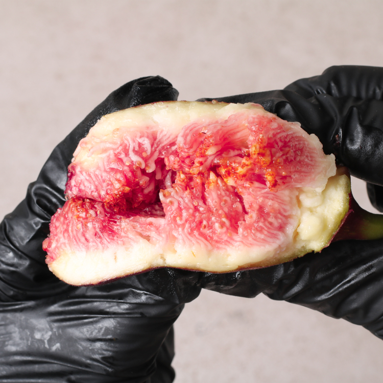 25년 무농약 고당도 서태민 무화과 800g 1.6kg 2.4kg