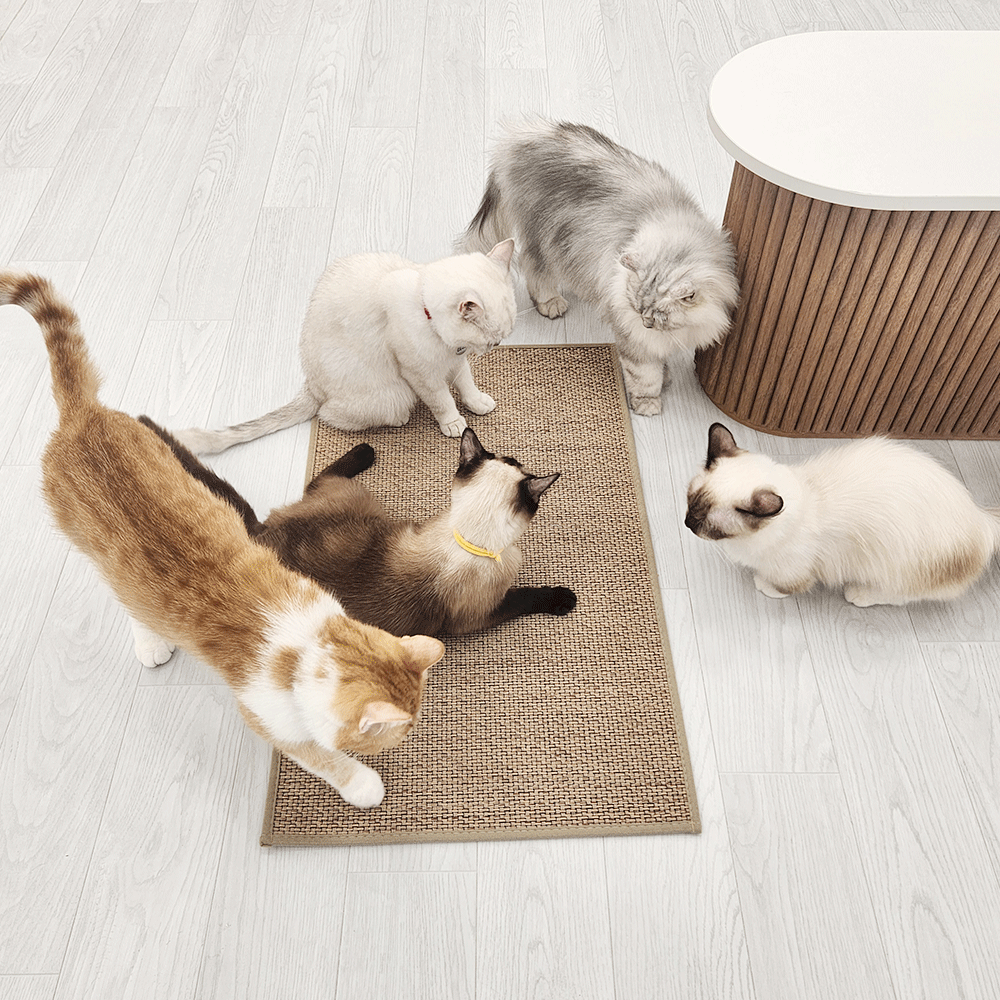 고양이 안식처 캣나인 이너무바 반영구 스크래쳐 카페트 매트타입 플랫형