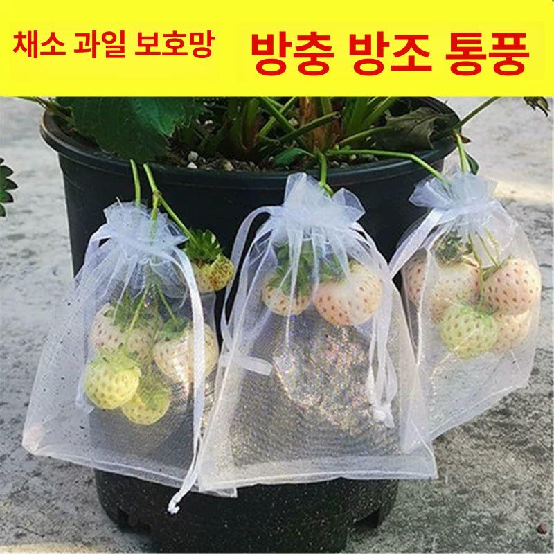 과일망 과일 그물망 완충재 완충제 봉투 사과 메쉬 너비 25x높이 35cm 50개 - 상세 이미지 5