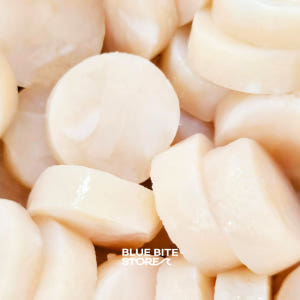 손질 가리비관자 500g 개아지살 버터구이 냉동 성형 통관자 맛있게 먹은 솔직 후기 - 상품 이미지 4