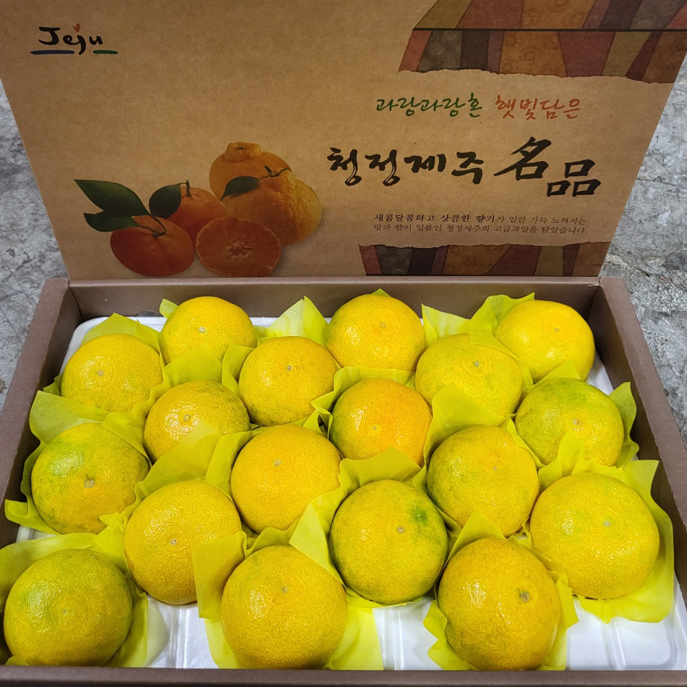 산지직송 제주 황금향 선물용 2kg 과일선물 - 상품 이미지