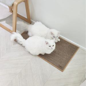고양이 안식처 캣나인 이너무바 반영구 스크래쳐 카페트 매트타입 플랫형 3... 솔직 후기 | 실제 사용자 리뷰 총정리 - 상품 이미지 3
