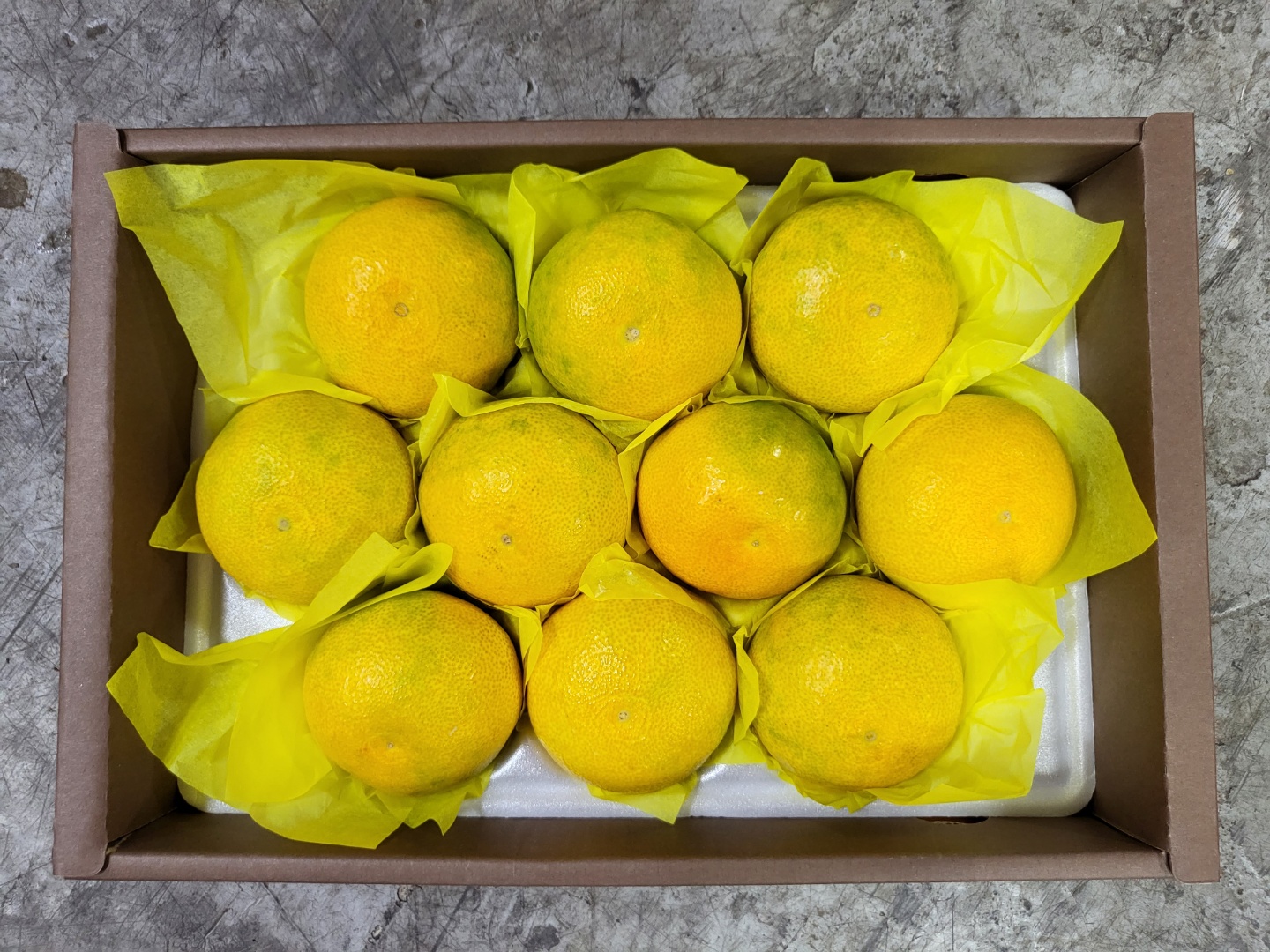 산지직송 제주 황금향 가정용 2kg - 상품 이미지