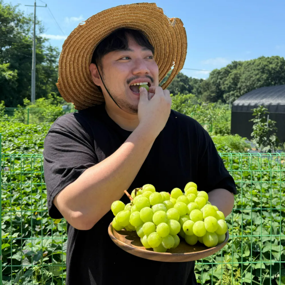 특품 샤인머스켓 샤인거봉 망고포도 씨없는 청포도 1kg 2kg