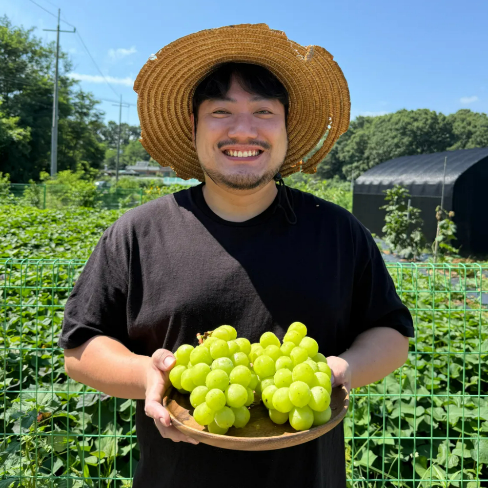 특품 샤인머스켓 샤인거봉 망고포도 씨없는 청포도 1kg 2kg - 상세 이미지 2