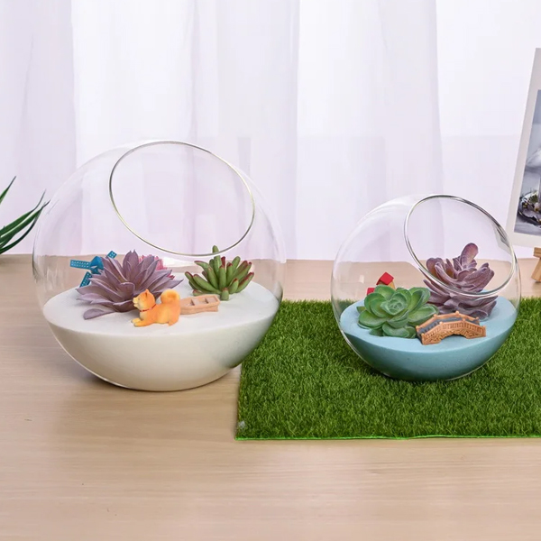 조경 사선 입 유리 꽃병 식물 용기 화분 걸이식 원형 테라리움 유리 용기 미니정원 재료 병