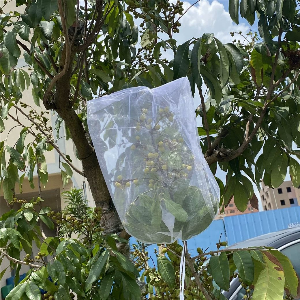 과일망 과일 그물망 완충재 완충제 봉투 사과 메쉬 너비 25x높이 35cm 50개 - 상세 이미지 4
