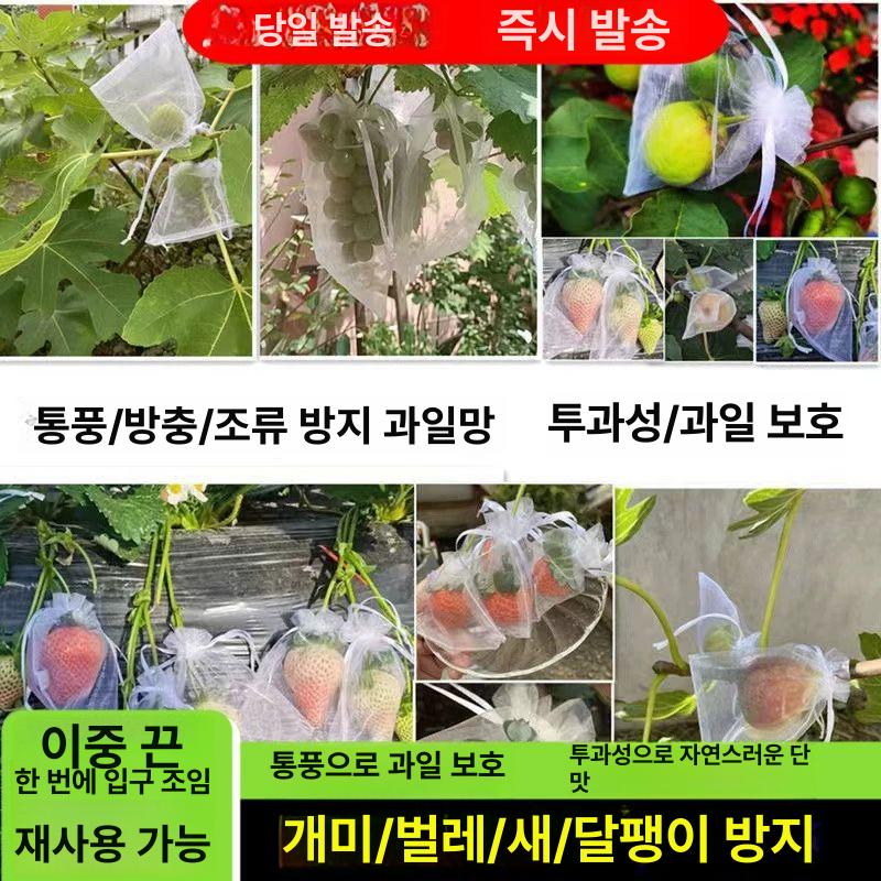 과일망 과일 그물망 완충재 완충제 봉투 사과 메쉬 너비 25x높이 35cm 50개 - 상세 이미지 2