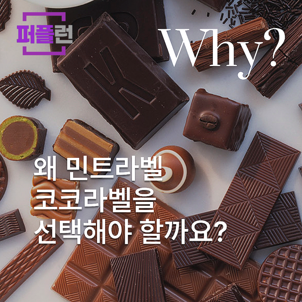 민트라벨 코코라벨 파우더 800g x 2ea - 상세 이미지 4