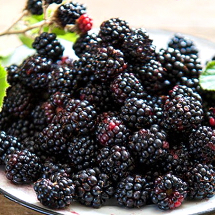 [베리굿] 고창 블랙베리 슈퍼 복분자 급냉 선별 (상품) 벌크포장 10kg, 1개