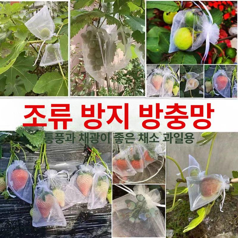 과일망 과일 그물망 완충재 완충제 봉투 사과 메쉬 너비 25x높이 35cm 50개 - 상세 이미지 3
