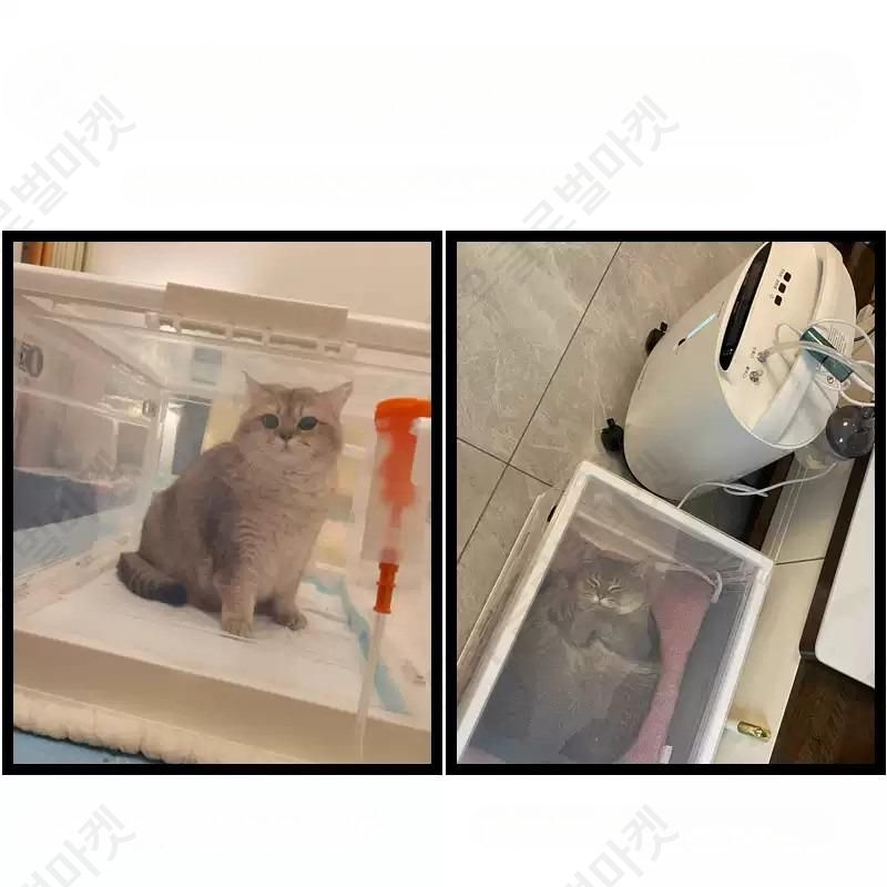 산소방 휴대용산소발생기 대형 고양이 산소공급기 노견용 가정용 고압산소 사용이편리한 강아지 - 상세 이미지 3