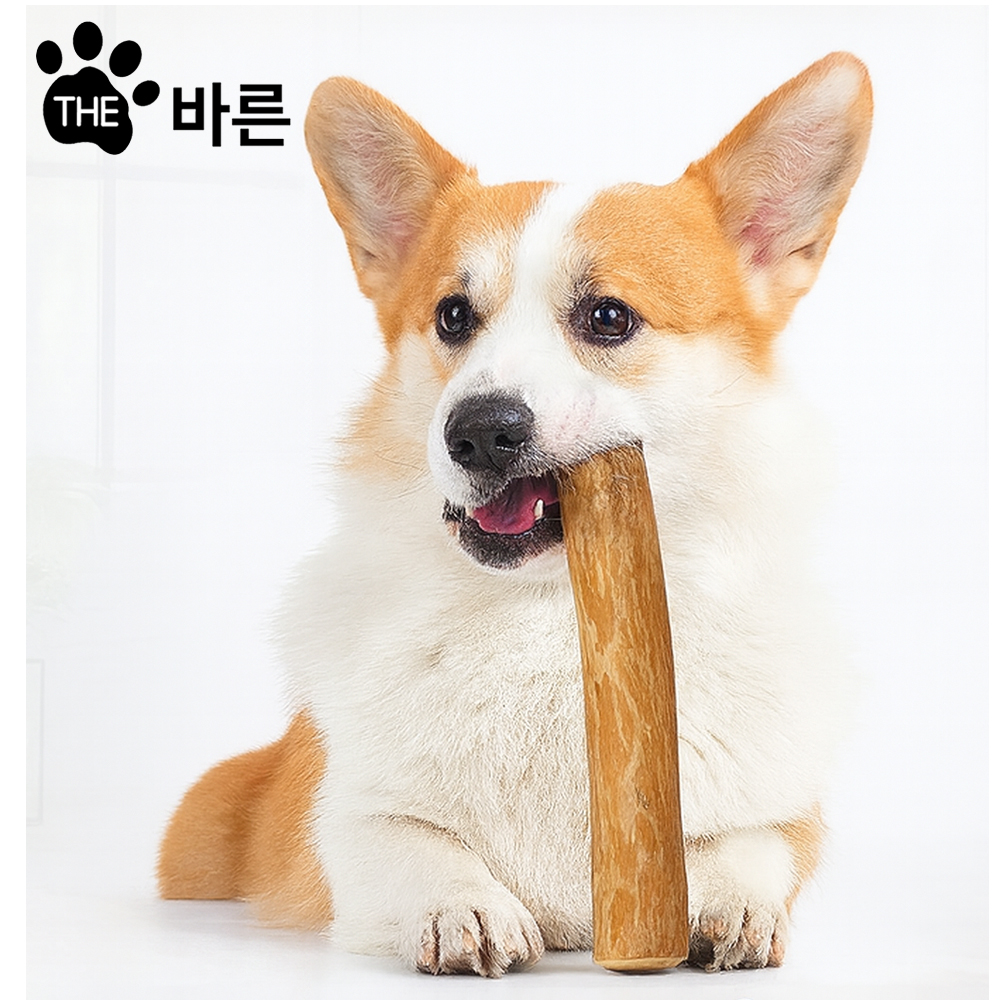 더바른 100% 천연 커피원목 우드스틱 이갈이 장난감 XS 5kg이하 - 상품 이미지