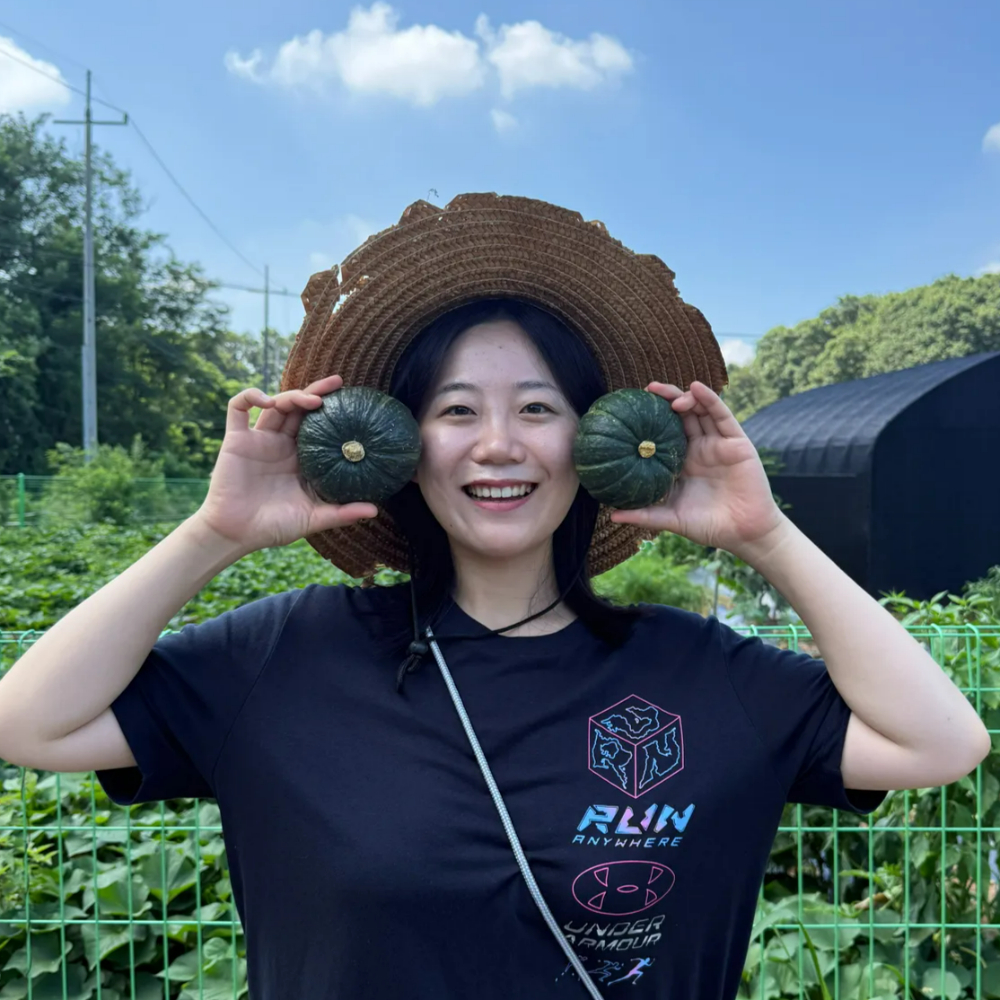 제주 미니 단호박 밤호박 제주도 보우짱 단호박 특품 5kg 10kg