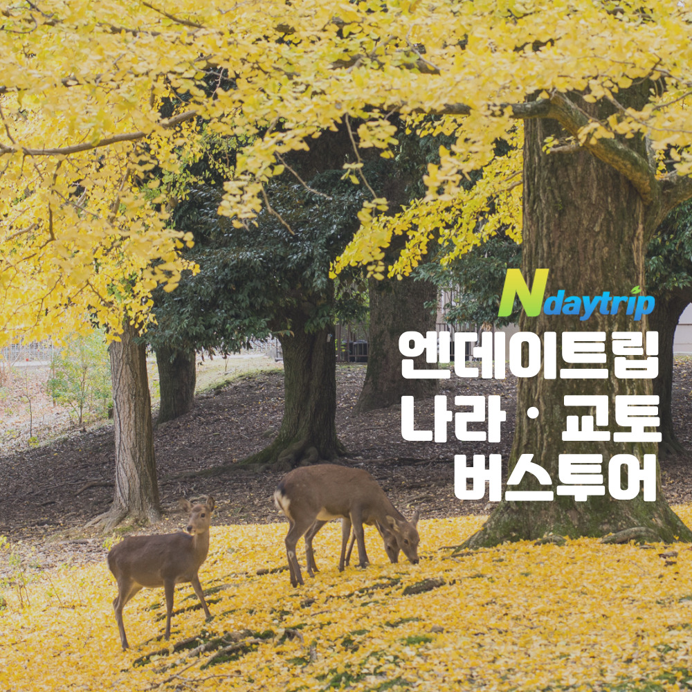 [즉시확정] 오사카 나라 사슴 공원 동대사 교토 청수사 헤이안신궁 일일 버스투어 엔데이트립 - 상품 이미지