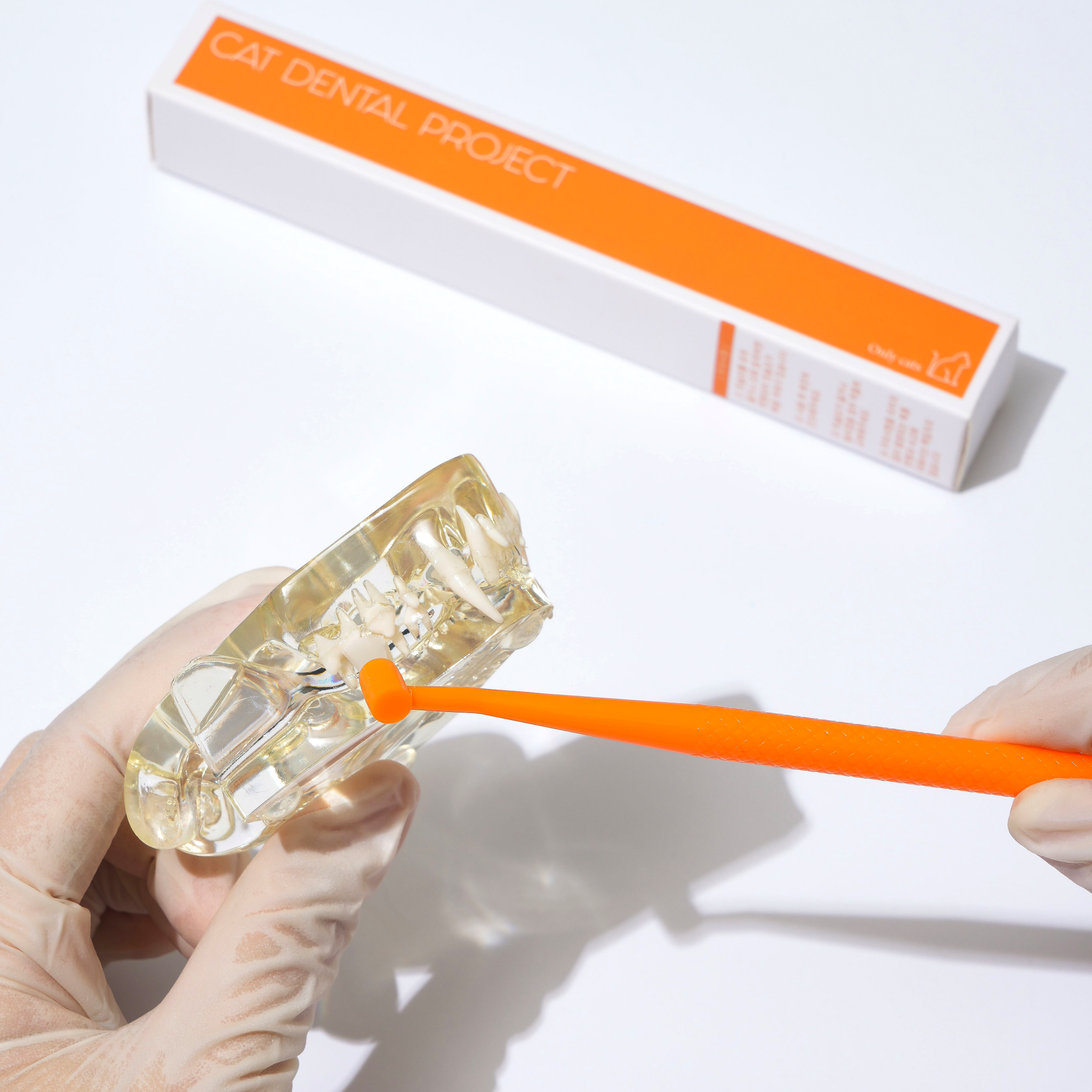 캣디피 덴탈 고양이 칫솔 CATDP 반려묘 양치질 양치 치석제거 입냄새 치석제거제 고양이전용칫솔