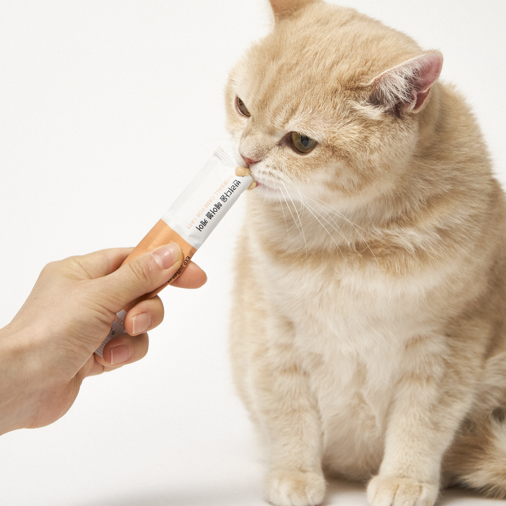 [반려다움] 고양이 짜먹는 영양제 헤어볼 케어 소화 장 건강 연어 15개입, 1개 이미지 4