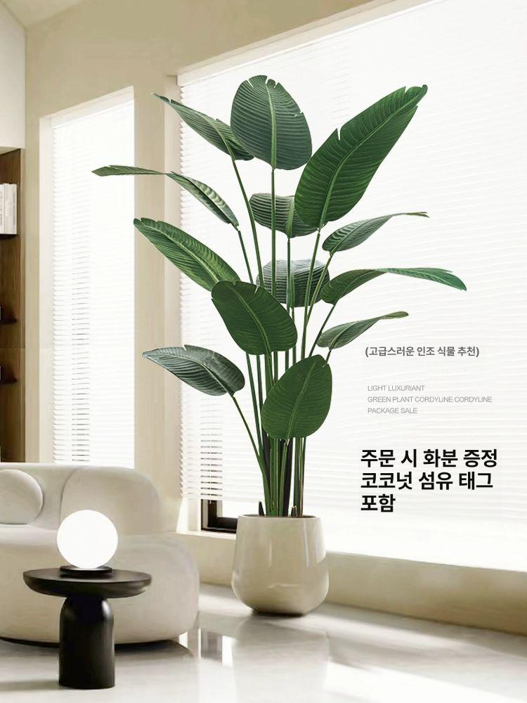 대형 조화 화분 인테리어 유칼립투스 인조조경 인조목 여행자바나나 1.2m+시멘트 재고정리 - 상세 이미지 3