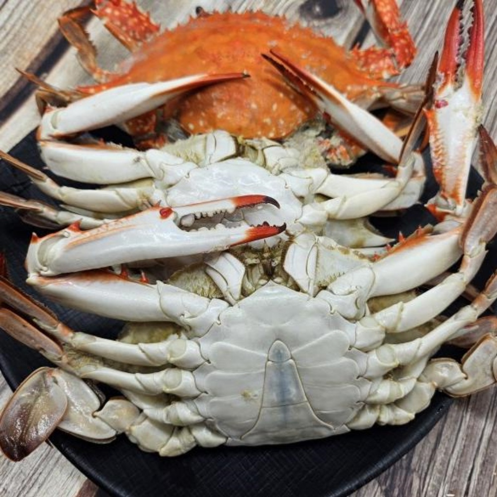 급랭꽃게 수꽃게 꽂개 숫게 서해 서해안 신진도 태안꽃게 꽃개 꽂게 숫꽃게 3kg, 1개