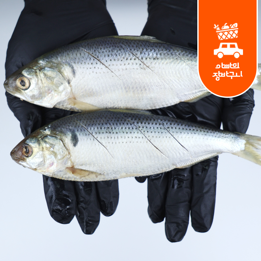 냉동 손질 전어 1kg 내장제거 여름 가을 전어 구이용