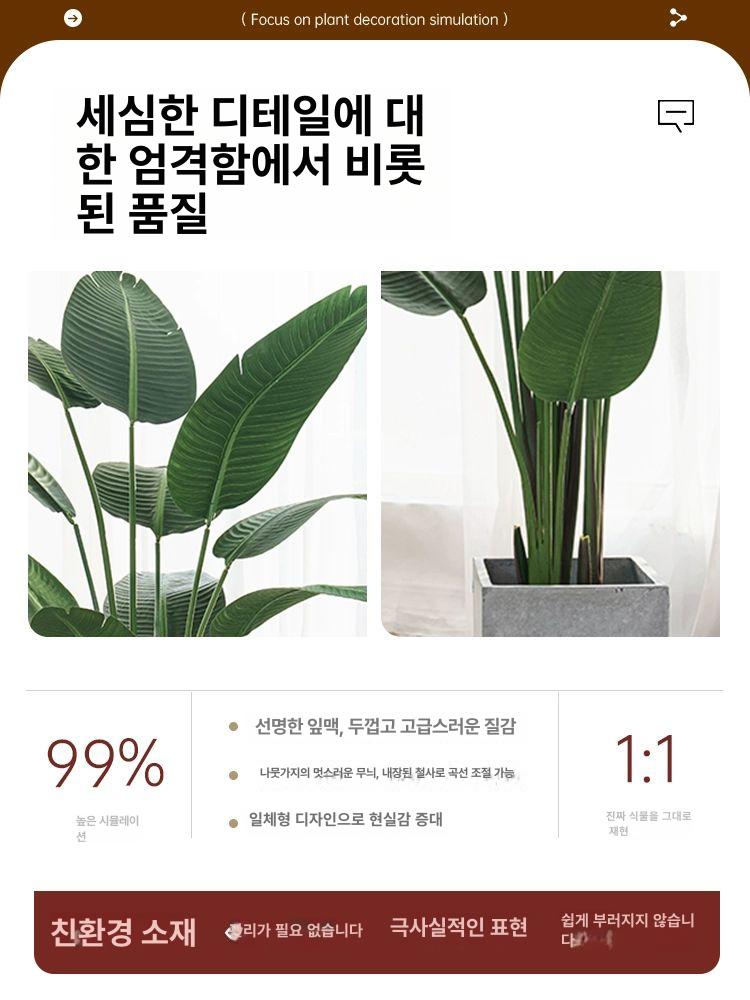 대형 조화 화분 인테리어 유칼립투스 인조조경 인조목 여행자바나나 1.2m+시멘트 재고정리 - 상세 이미지 4