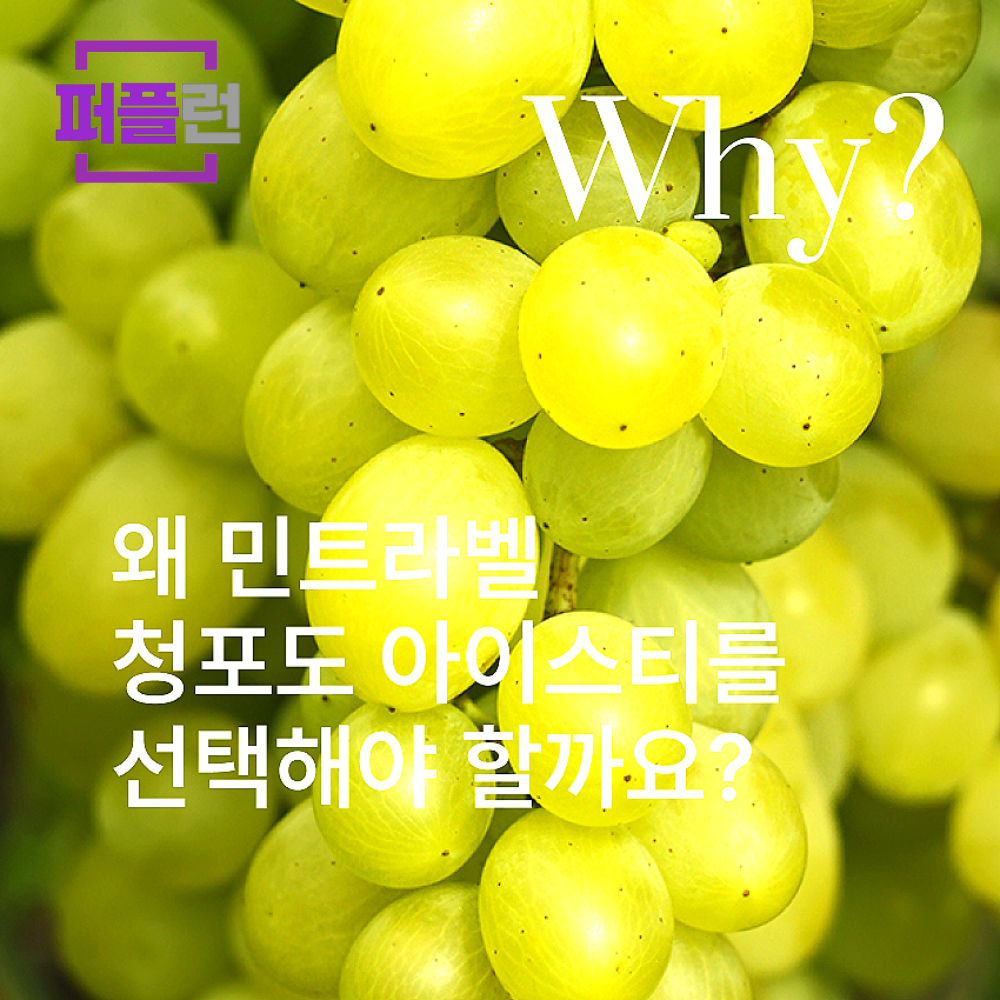 민트라벨 청포도 아이스티 파우더 1kg - 상세 이미지 4