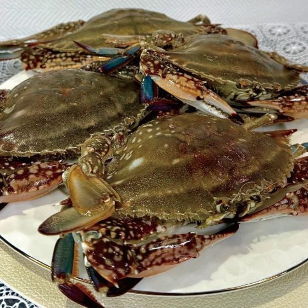 급랭꽃게 수꽃게 꽂개 숫게 서해 서해안 신진도 태안꽃게 꽃개 꽂게 숫꽃게 5kg, 1개