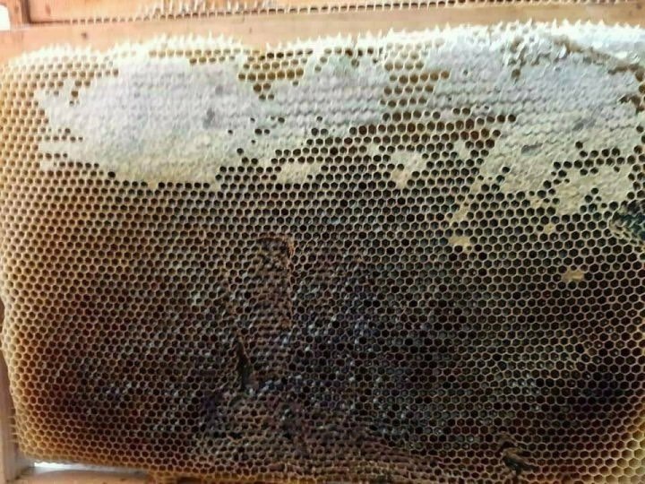 제철밥상 깊고 진한 1등급 헛개나무 천연꿀 1kg - 상세 이미지 3