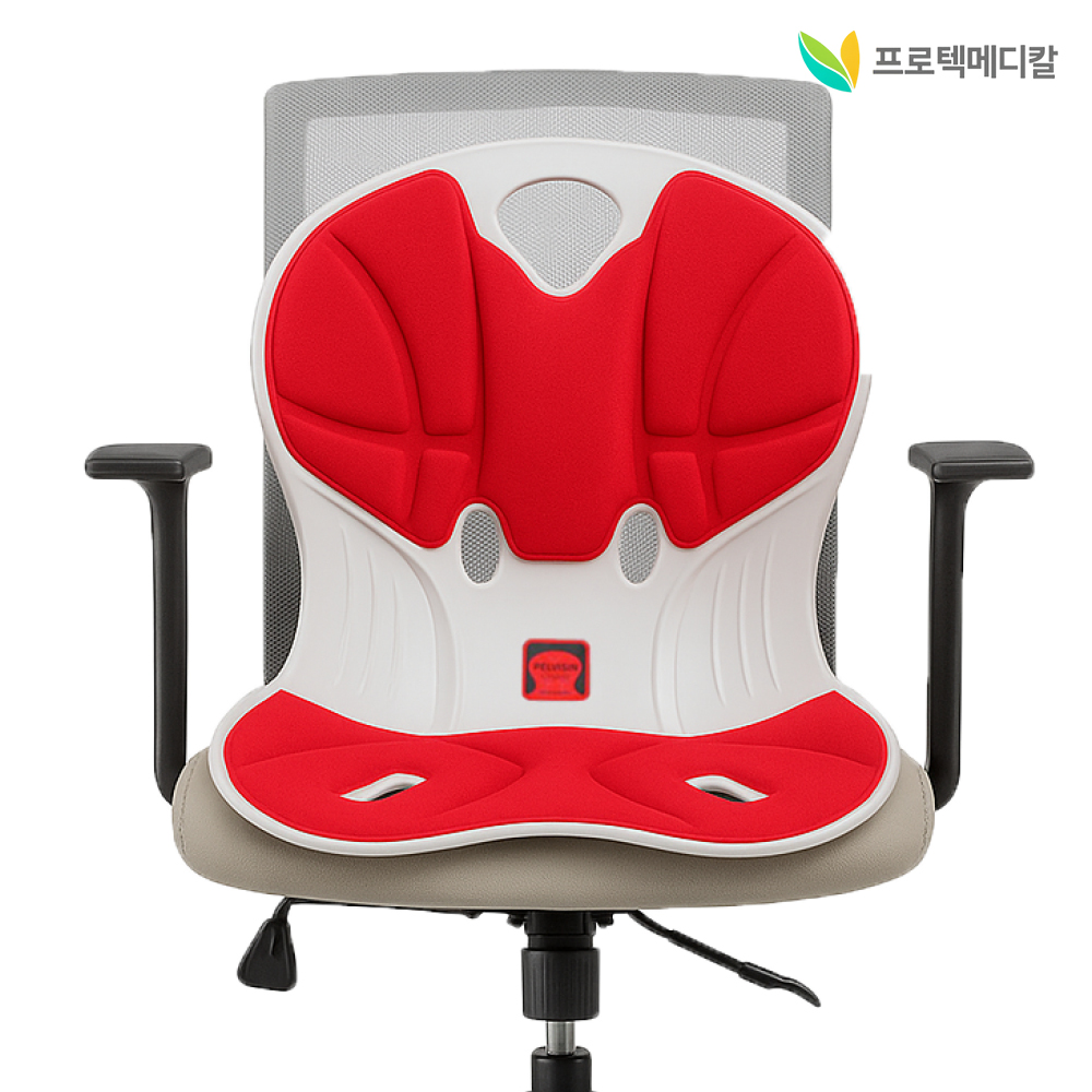 국산 프로텍메디칼 펠비신 체어 바른자세 지킴이 자석 허리 골반 체형교정 좌식의자 - 상세 이미지 2