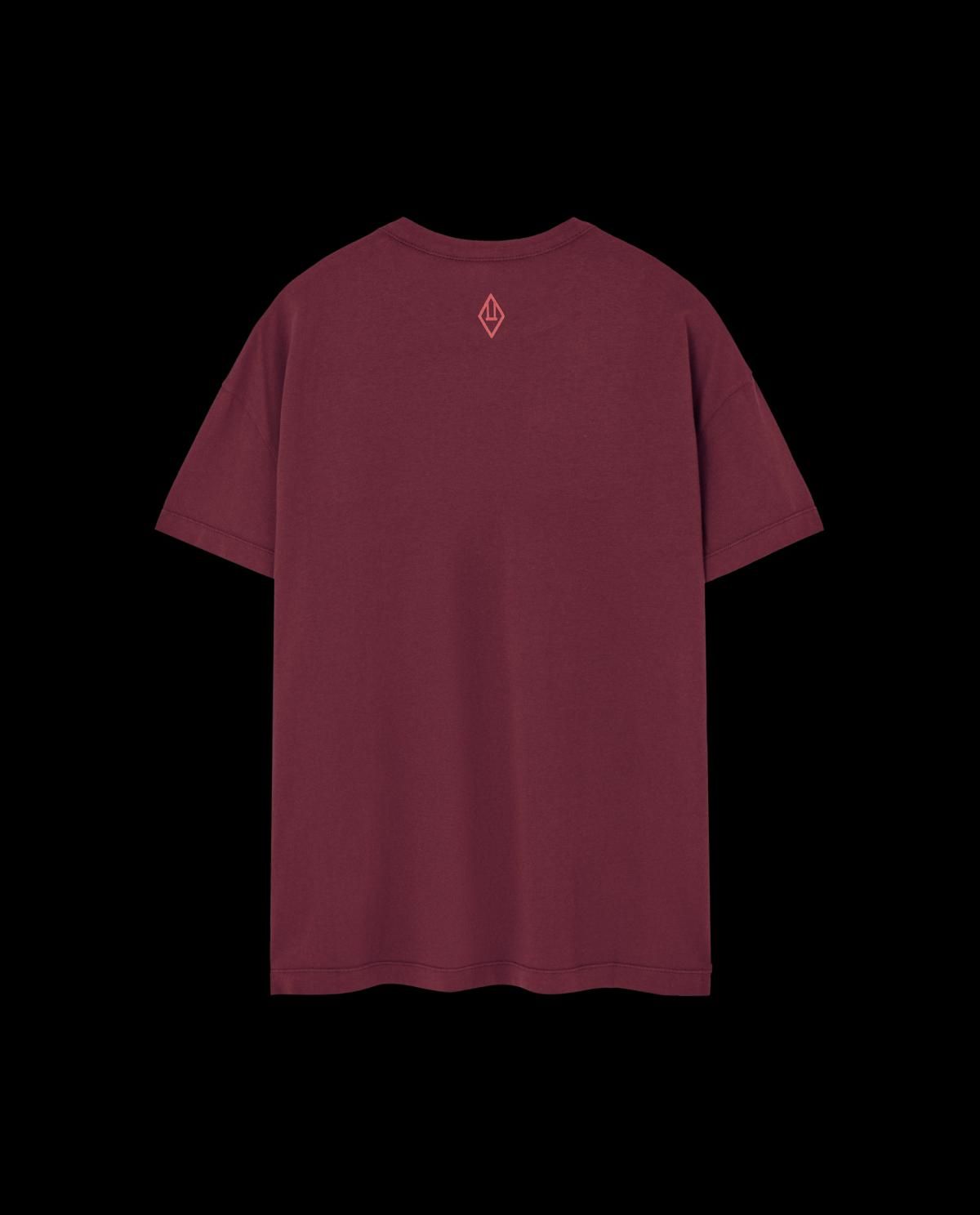 타오 키즈 버건디 오리온 프린팅 반팔 티셔츠 F25132-051_BG ONE COLOR - 상세 이미지 2