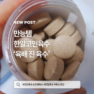 육배진 동전육수 고체 한알 만능 해물 멸치 천연 코인육수 2통 100정 맛있게 먹은 솔직 후기 - 상품 이미지 3