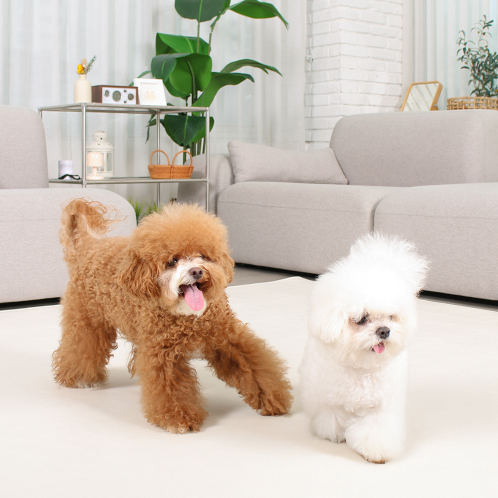 초코펫하우스 강아지 매트 논슬립 레더 매트 중형 아이보리 펫 카페트 러그 미끄럼방지