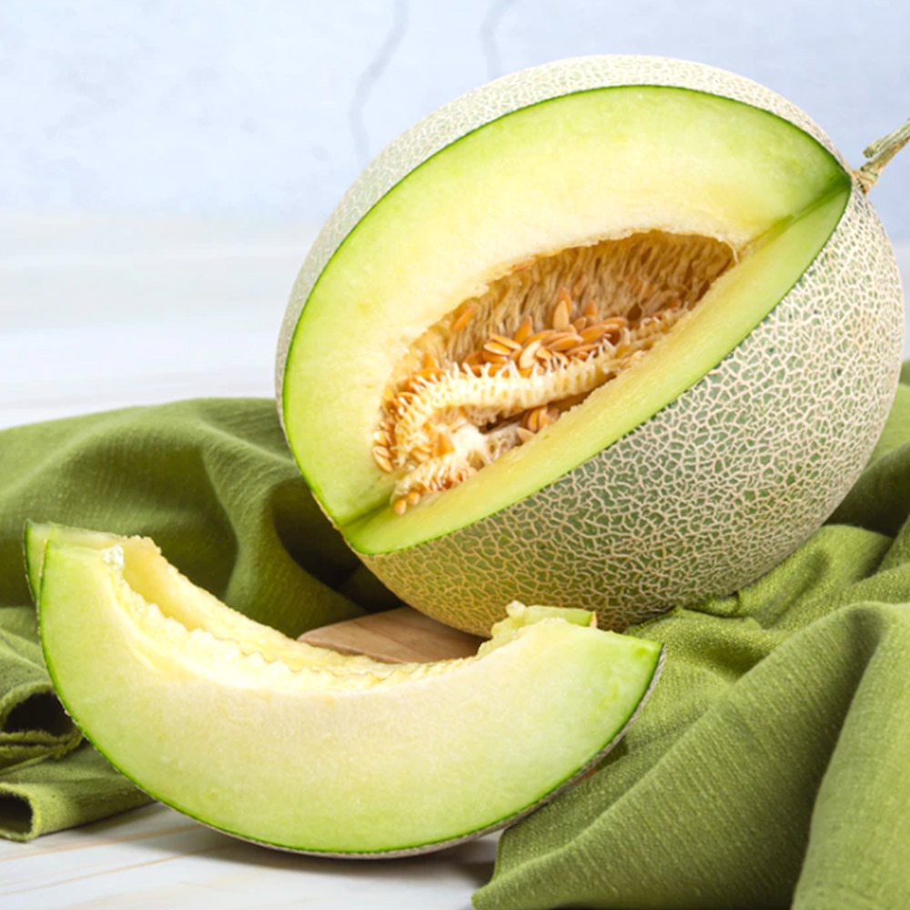 멜론 고령 산지직송 머스크 파파야 양구 성산 설향 하미과 메론