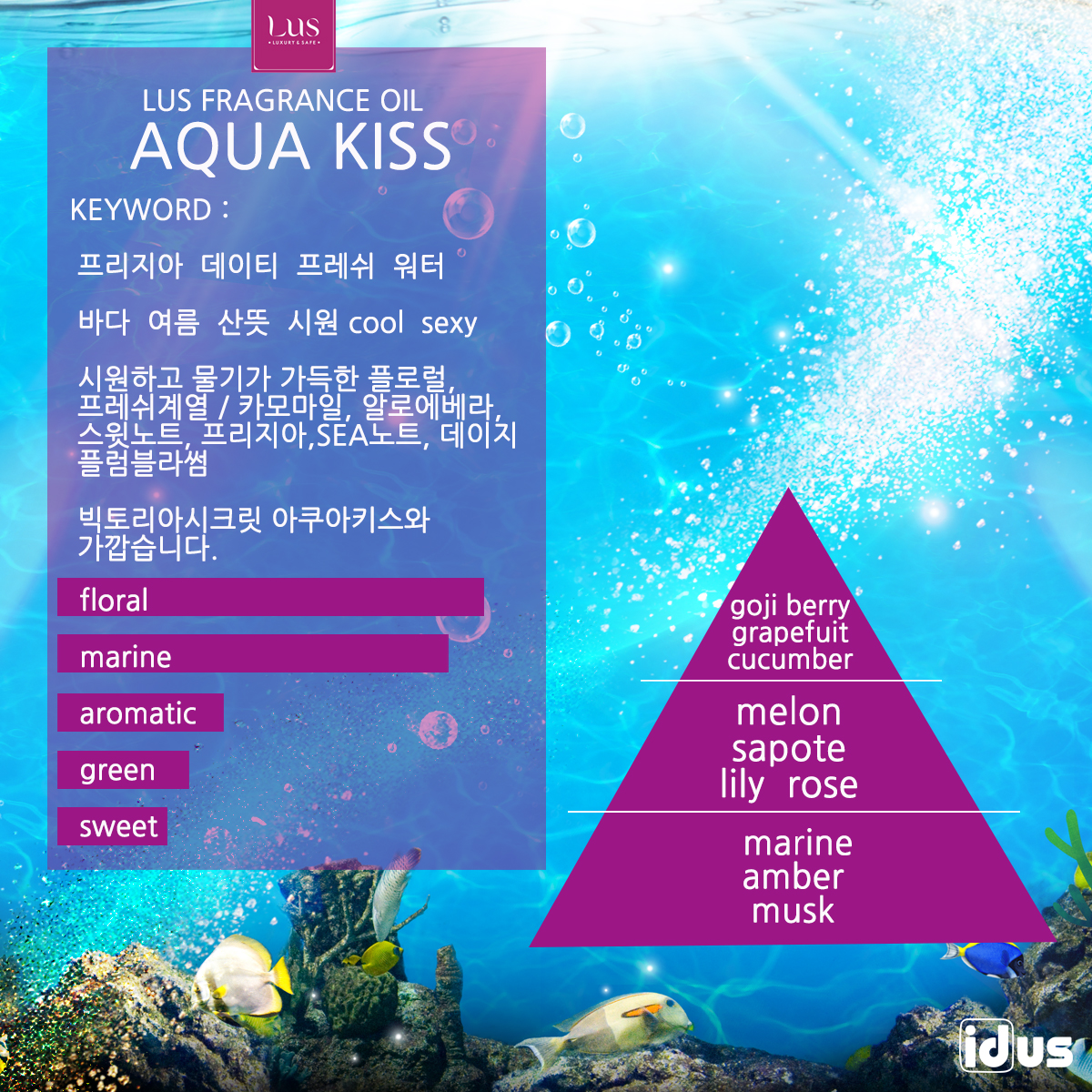 LUS 프래그런스오일 아쿠아키스, 100ml, 1개 이미지 2