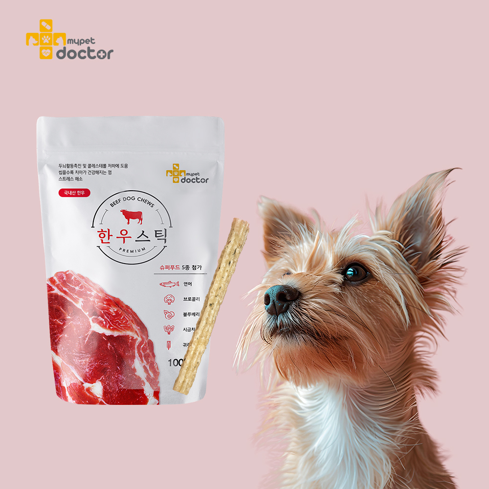 마이펫닥터 한우 스틱 강아지 수제 간식 쇠고기, 100g, 1개