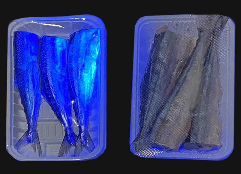 미끼에 뿌려 집어력 극대화 UV 축광 스프레이 100ml 낚시 - 상세 이미지 2