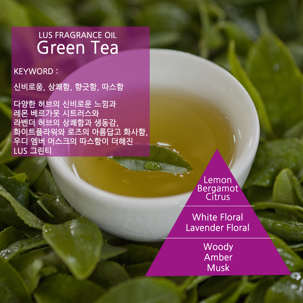 LUS 프래그런스오일 그린티, 100ml, 1개 이미지 2