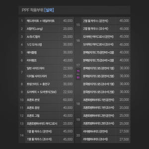 저스트쉴드 아이오닉9 PPF필름 헤드라이트 데일라이트 캘리그라피 부분구매 실사용 후기 | 효과 있을까? - 상품 이미지 4