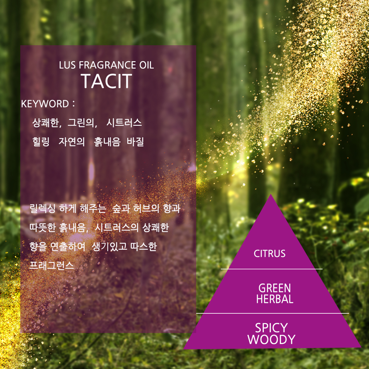 LUS 프래그런스오일 테싯(AES 타입), 100ml, 1개 - 상세 이미지 2
