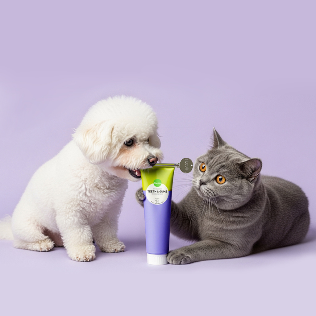 강아지 고양이 치석 제거 입냄새 영양제 핀란드 오메가3 뉴트롤린 티쓰 앤 검스 200g - 상세 이미지 5