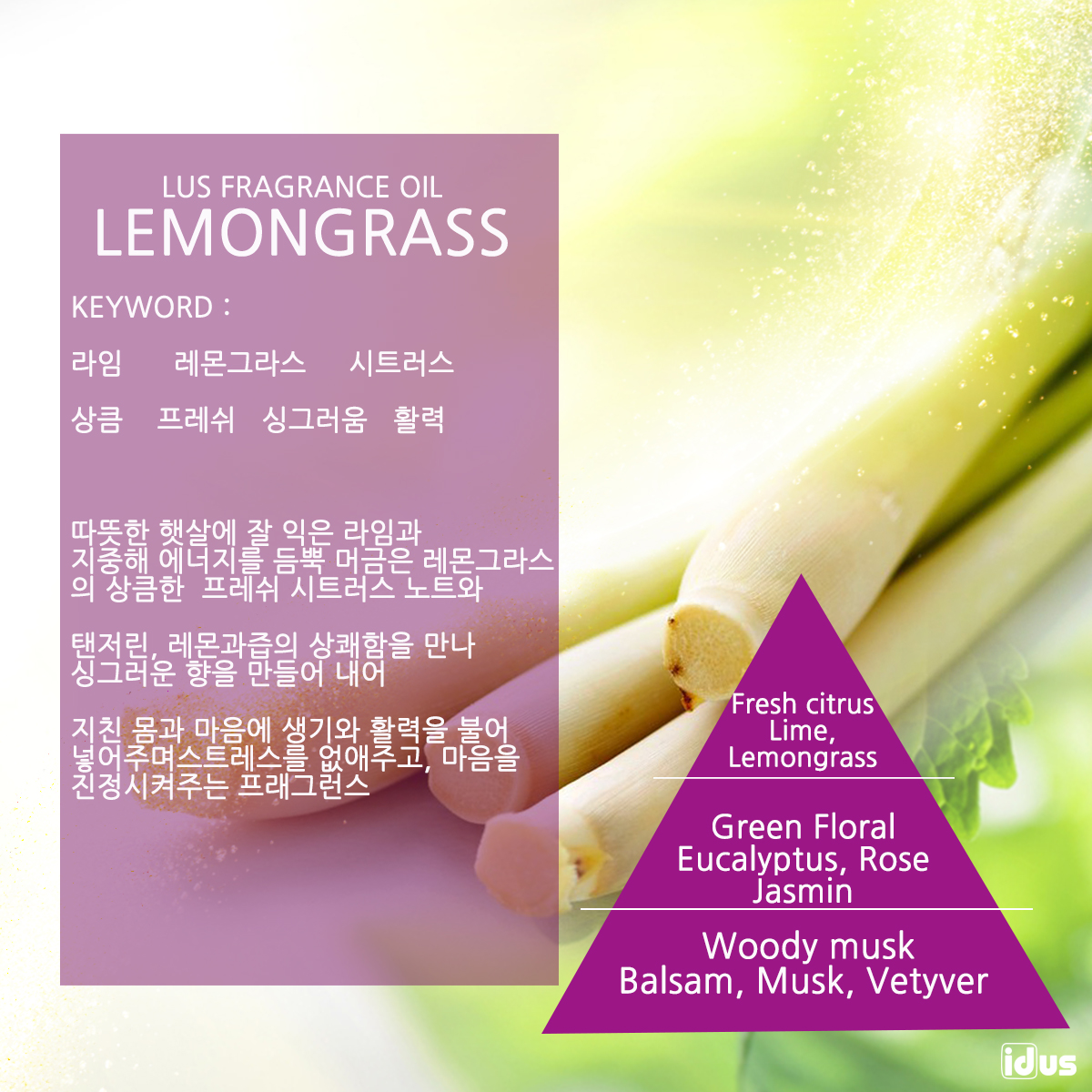 LUS 프래그런스오일 레몬그라스, 100ml, 1개 - 상세 이미지 2