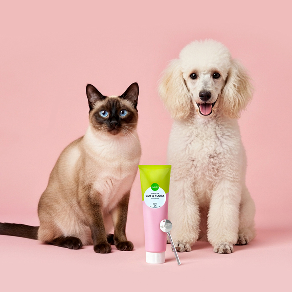 강아지 고양이 유산균 신장 설사 변비 영양제 핀란드 오메가3 뉴트롤린 구트앤플로라 200g - 상세 이미지 2