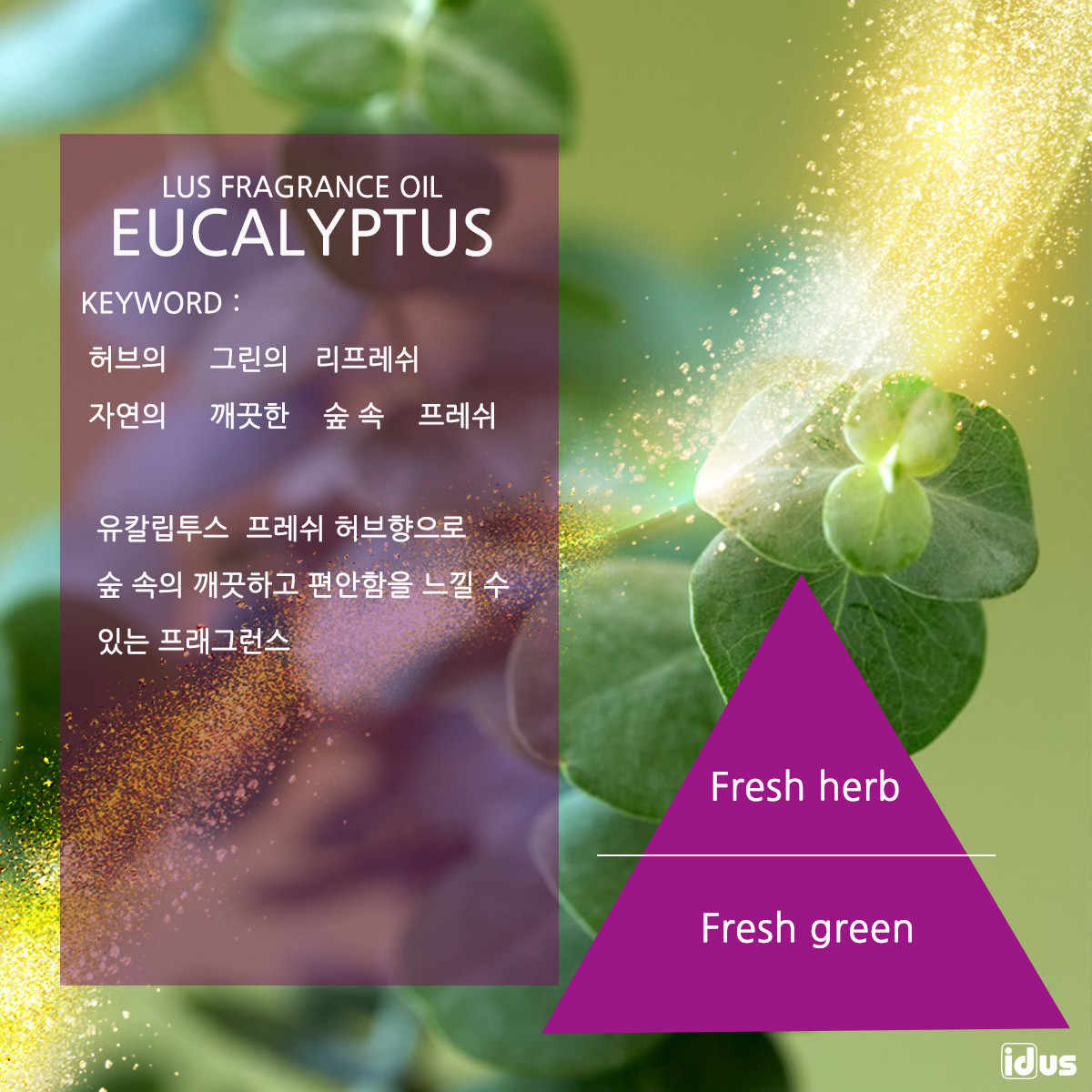 LUS 프래그런스오일 유칼립투스, 100ml, 1개 - 상세 이미지 2