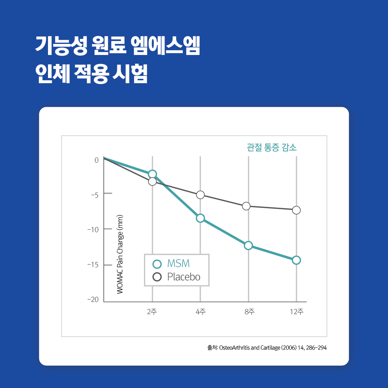 바이탈솔루션 엠에스엠 MSM 120정, 1개 - 상세 이미지 4